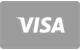 Visa Karte Zahlungsmethode bei Ragnaro Casino